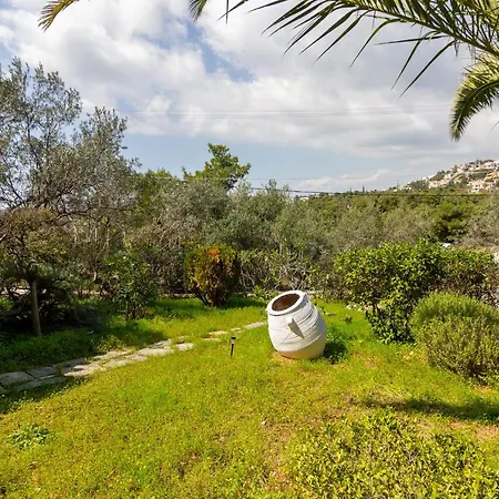 Apartment Maison With Near To The *