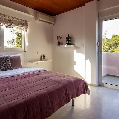Apartment Maison With Near To The